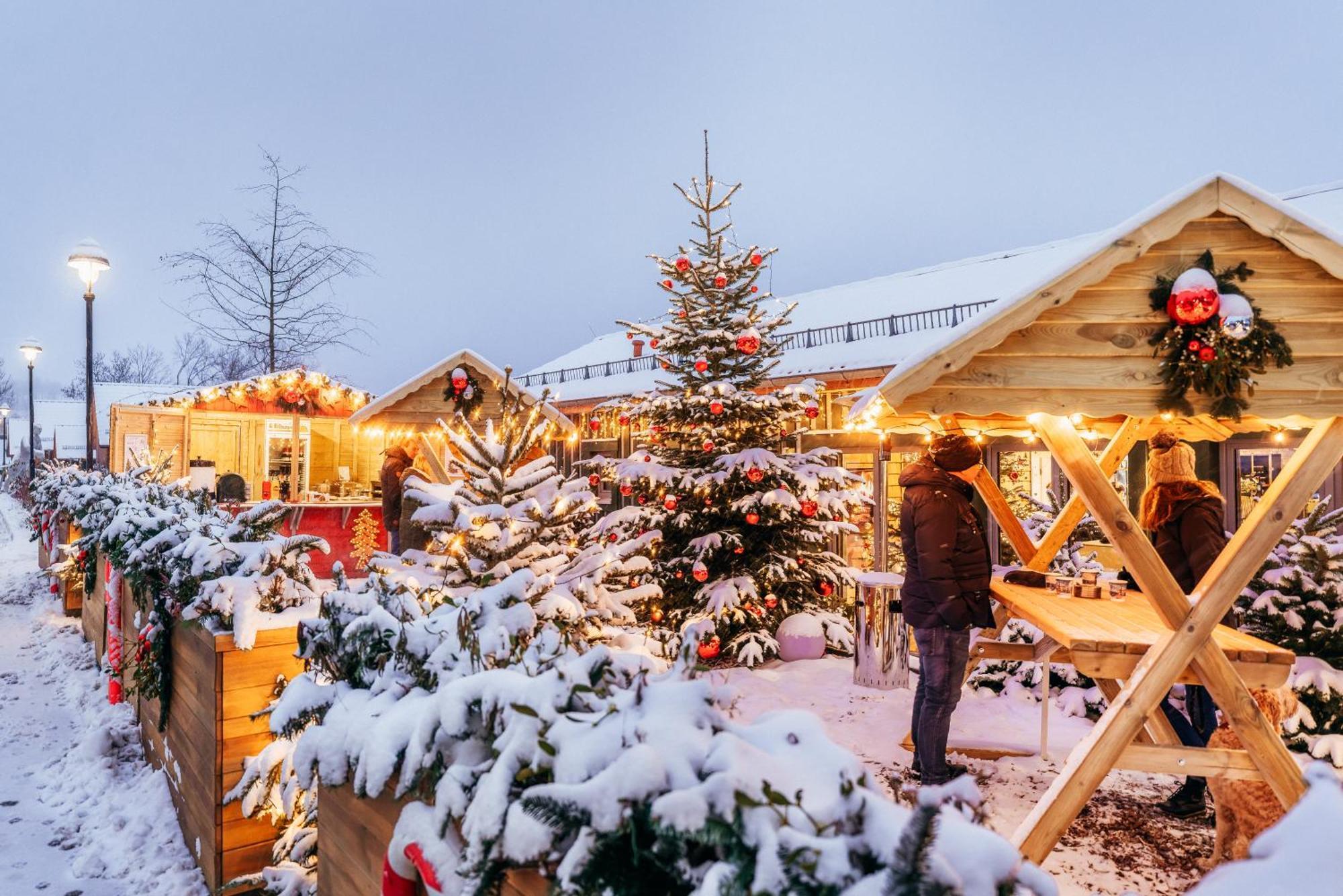 Das Schierke Harzresort Екстериор снимка